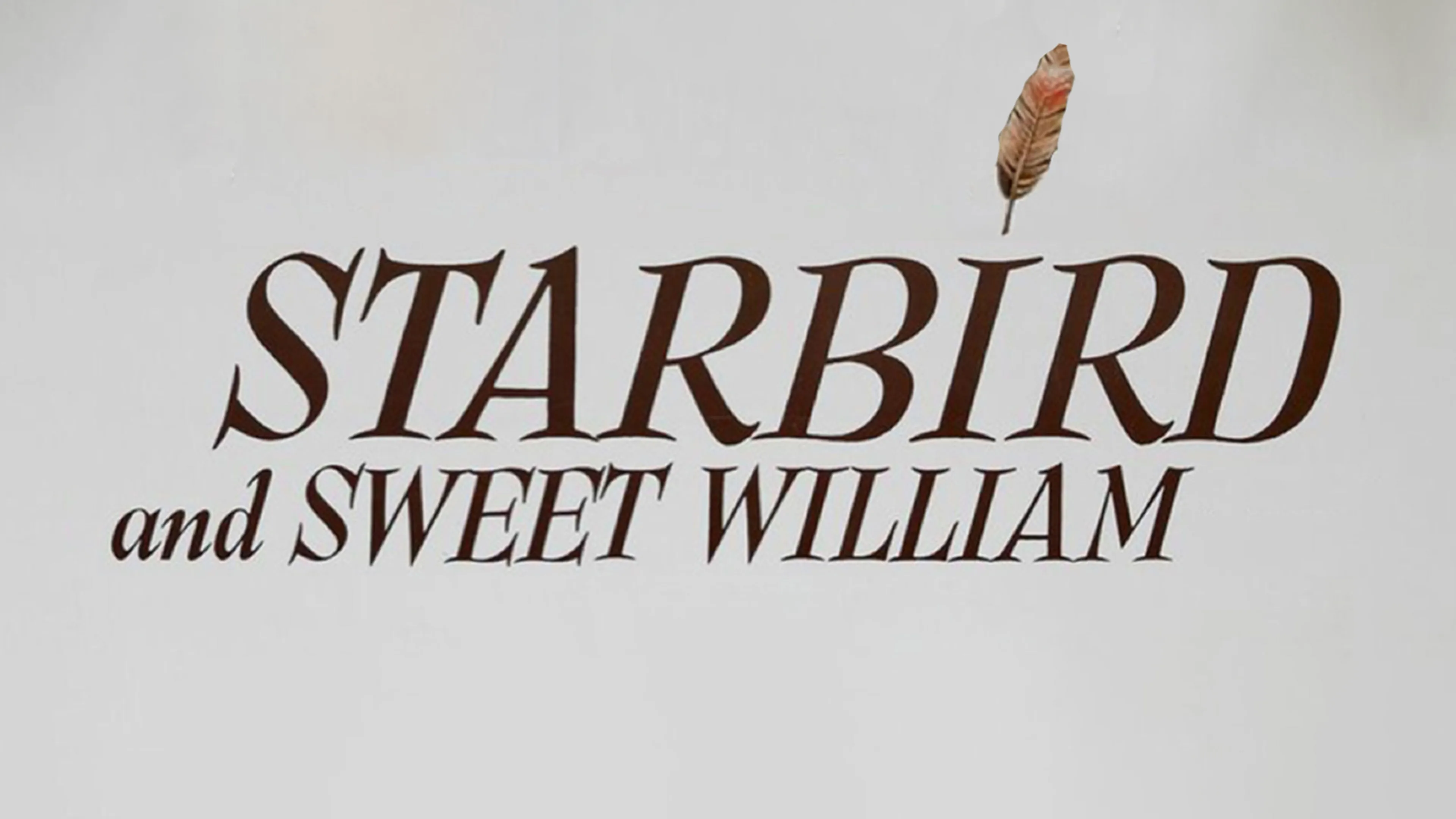 Starbird and Sweet William poster